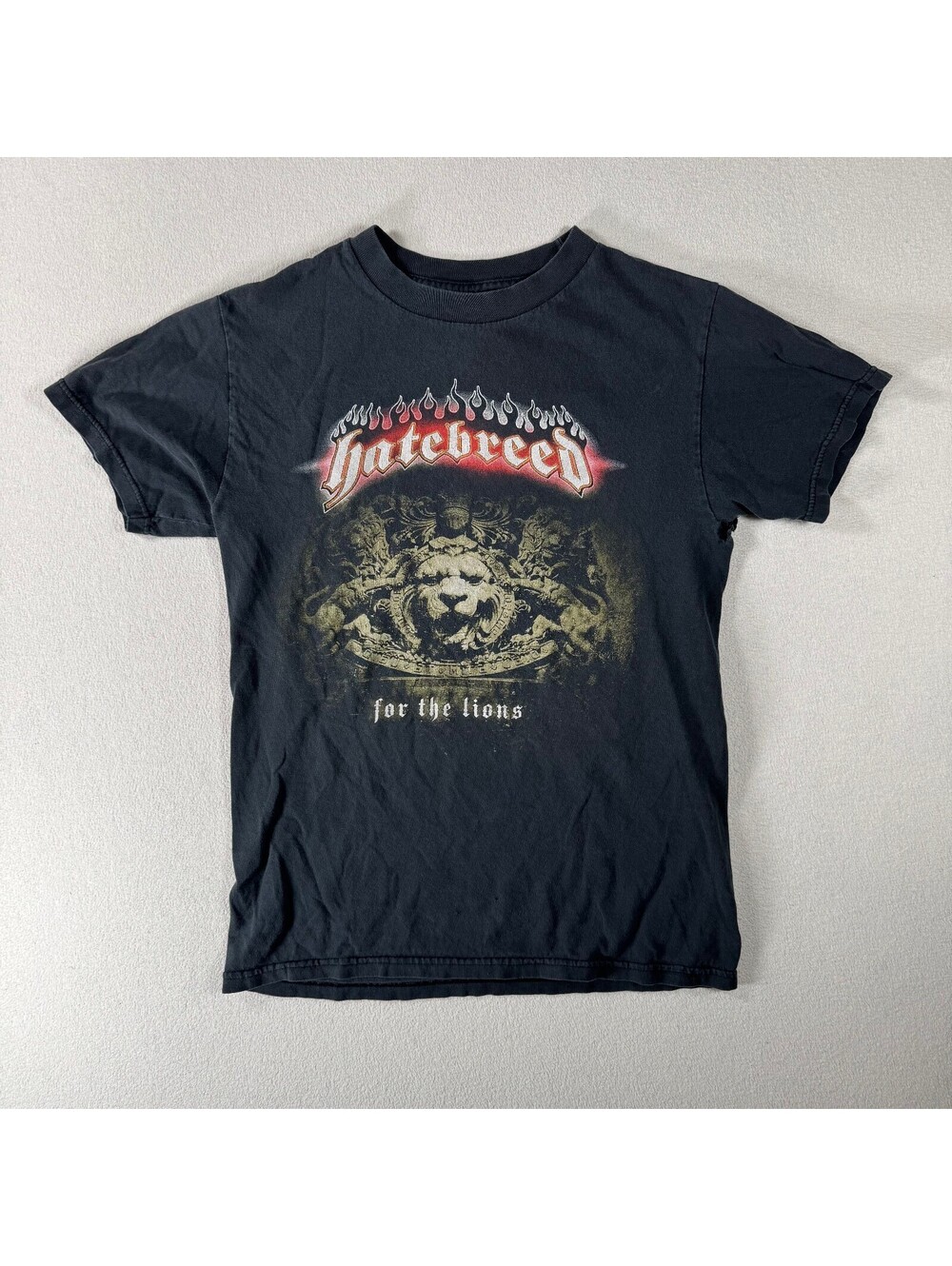 Vintage Y2K Hatebreed For The Lions Black Graphic Band Tee